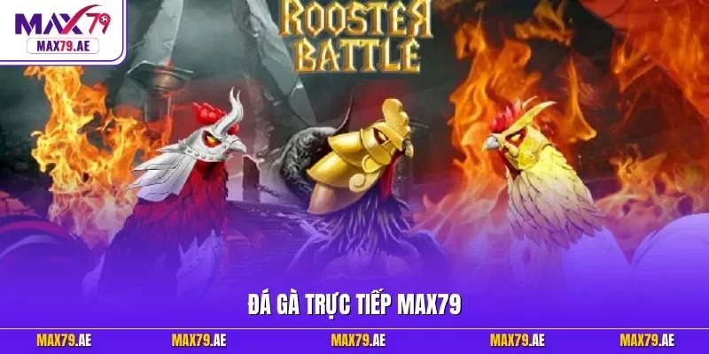 Đá gà trực tiếp