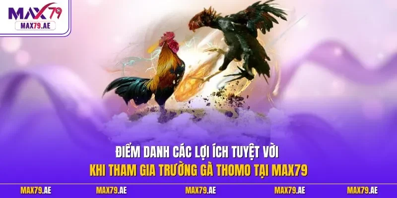 Điểm danh các lợi ích tuyệt vời khi tham gia trường gà Thomo tại MAX79