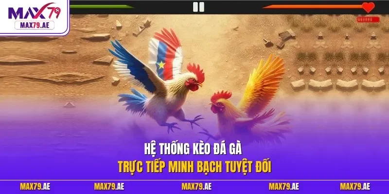 Hệ thống kèo đá gà trực tiếp minh bạch tuyệt đối