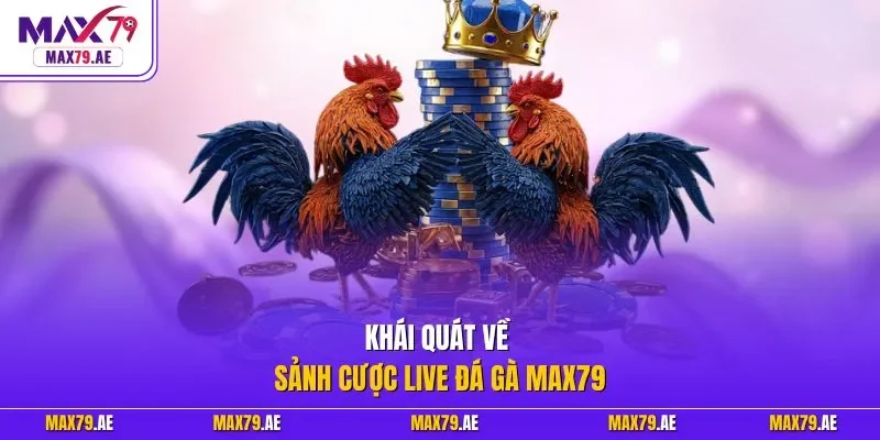 Khái quát về sảnh cược live đá gà MAX79