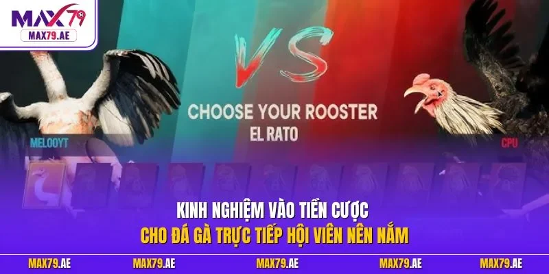 Kinh nghiệm vào tiền cược cho đá gà trực tiếp hội viên nên nắm
