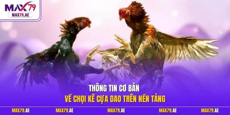 Thông tin cơ bản về chọi kê cựa dao trên nền tảng