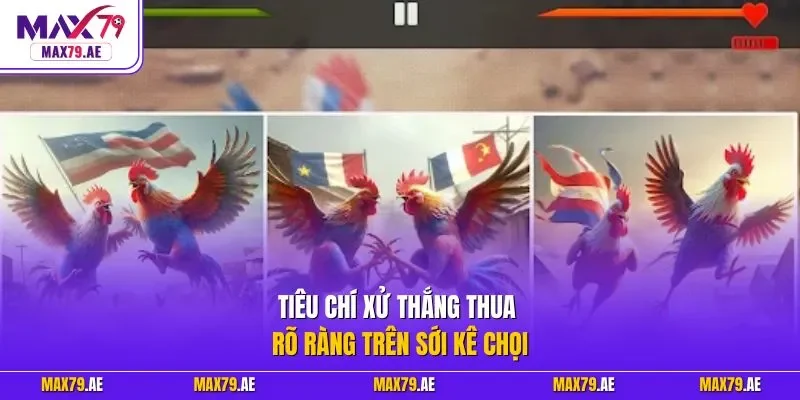 Tiêu chí xử thắng thua rõ ràng trên sới kê chọi