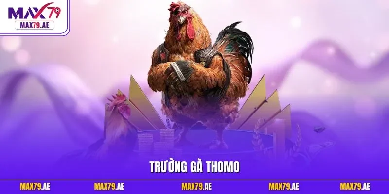 Trường gà Thomo